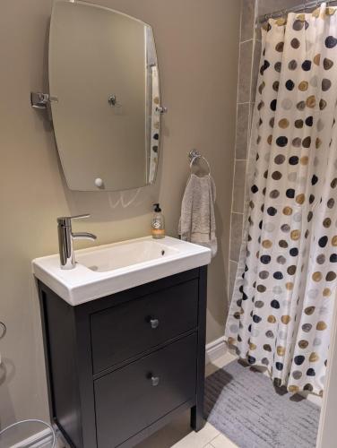 a bathroom with a sink and a mirror at West End Basement Apartment in Toronto