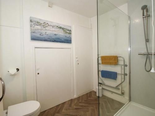 a bathroom with a shower and a toilet at Shepherd's Cottage in Bridgnorth