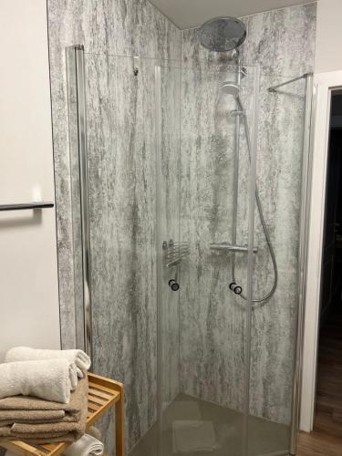 a shower with a glass door in a bathroom at Paganetti´s Chalet in Breitscheid