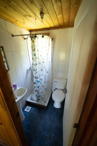 a small bathroom with a toilet and a sink at Rio liucura cabañas in Collentañe