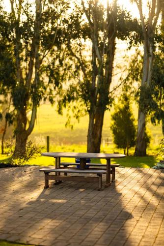 a picnic table in a park with trees in the background at Expansive Ocean & Mountain Views - KK82140 in Kaikoura