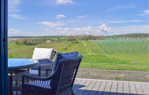 a patio with a table and chairs and a view of a vineyard at Beautiful Home In Kivik in Kivik