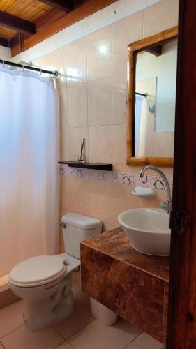 a bathroom with a toilet and a sink and a mirror at Cocoa Beachfront Inn in Canoa