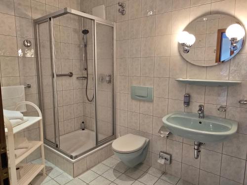 a bathroom with a shower and a toilet and a sink at Hotel Waldesruh in Lengefeld