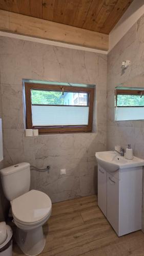 a bathroom with a toilet and a sink at Domki nad potokiem in Stary Sącz