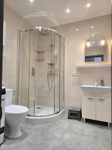 a bathroom with a shower and a toilet and a sink at Apartament Okulickiego 80 in Gorzów Wielkopolski
