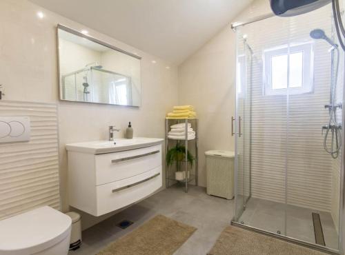 a bathroom with a shower and a toilet and a sink at Villa Marija Zaton in Dubrovnik