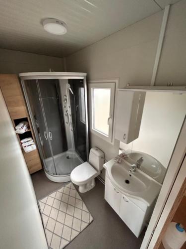 a bathroom with a sink and a shower and a toilet at Beach house Sofia in Otok Žut