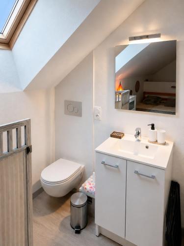 a bathroom with a toilet and a sink and a mirror at Duplex Le Doux Rêve in Dole