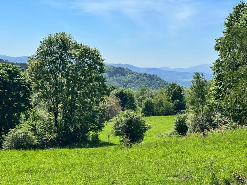 a green field with trees and mountains in the background at Wilcza Osada Wellness Resort in Wilcza
