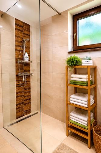 a shower stall with a glass door in a bathroom at Chalet-Širava in Vinné
