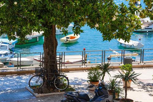 a bike parked next to a tree next to the water at Apartments Astoria HN in Herceg-Novi