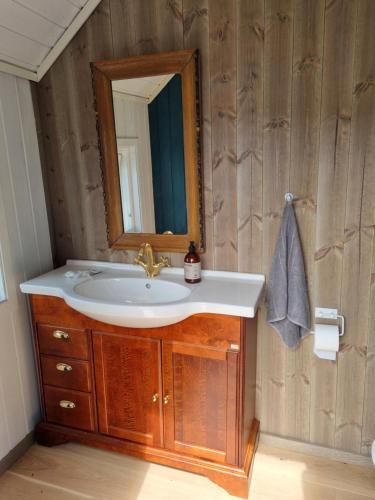 a bathroom with a sink and a mirror at Bjørneboestova in Åmli