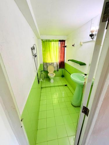a green bathroom with a toilet and a sink at Coca Cola Hostel Malabe in Malabe