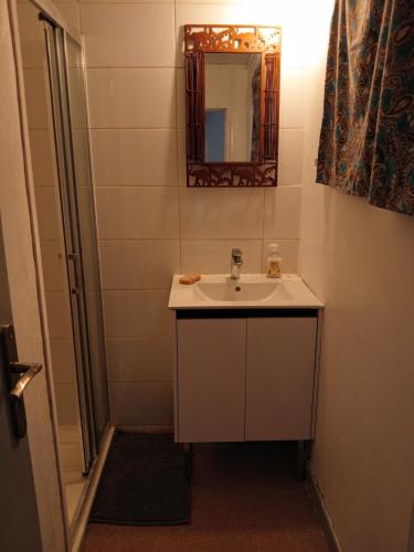 a bathroom with a sink and a mirror at 2-room apartment in Clamecy