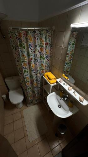 a bathroom with a sink and a toilet and a shower curtain at Azure & Zest Suites in Ierissos