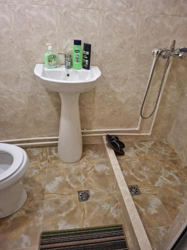 a bathroom with a sink and a toilet at Адами драхт in Garni