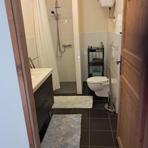a bathroom with a toilet and a sink and a shower at Orchard House South Room in Pergola