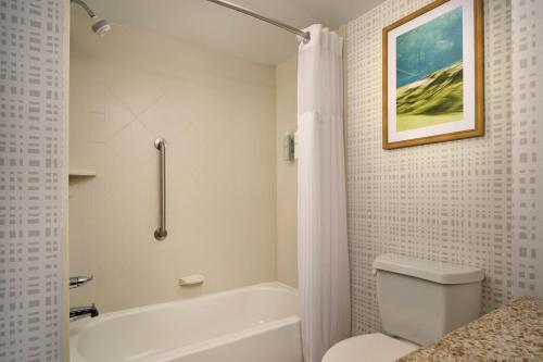 a bathroom with a toilet and a bath tub at Hampton Inn Thomson in Thomson