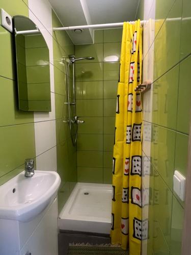 a bathroom with a sink and a toilet and a shower at Villa Meri Apartments in Pärnu