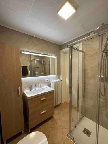 a bathroom with a shower and a sink and a toilet at Casa Mariangela pool and garden in Leggiuno