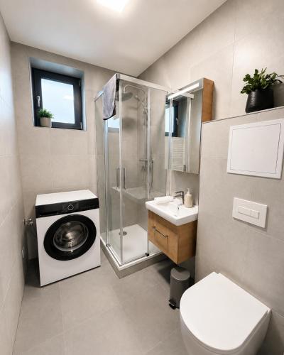 a bathroom with a shower and a toilet and a sink at Microbyty & Apartments in Děčín