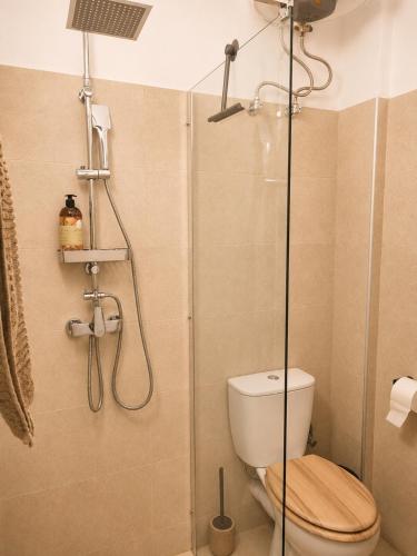 a bathroom with a shower with a toilet and a glass door at Tolo at sea - Nova in Tolo