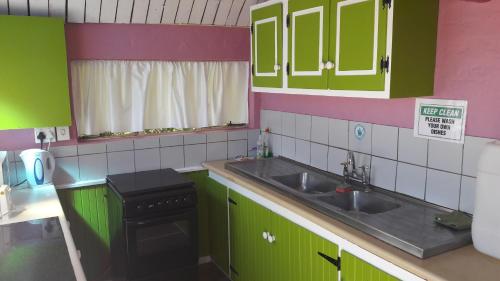 een keuken met groene kasten en een wastafel bij Moonsong Accommodation & Camping in Plettenbergbaai