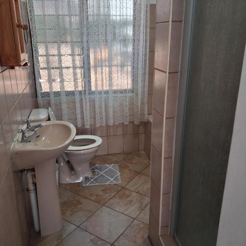 a bathroom with a sink and a toilet and a shower at Flamboyant Apartments in St Lucia