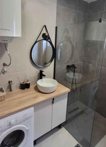 a bathroom with a sink and a mirror and a shower at Apartman Magdalena in Budva