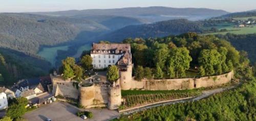 an aerial view of an old castle on a hill at Wappensaal Dhaun in Hochstetten-Dhaun