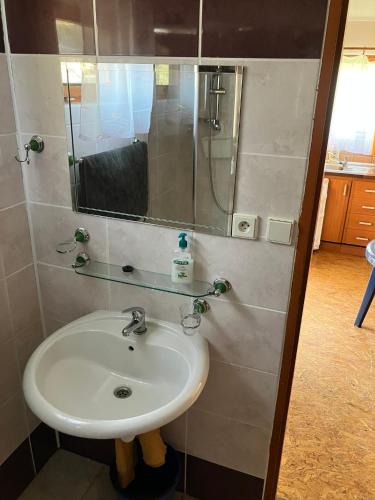 a bathroom with a sink and a shower at Chaty u Toma Slapy in Nalžovice