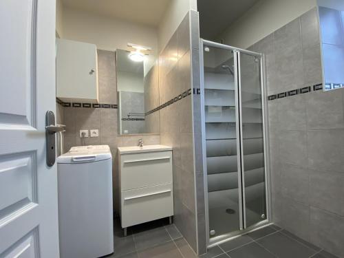 a bathroom with a shower and a sink and a mirror at Maliania in Arbonne