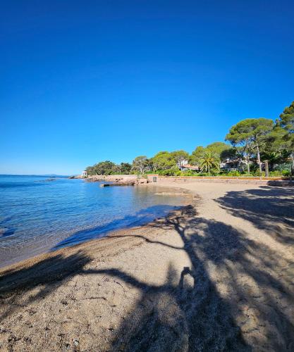Magnifique studio à Saint Raphael à deux pas de la mer