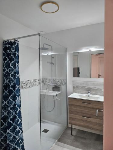 a bathroom with a shower and a sink at Les Gîtes de Guillonnet in Anglade