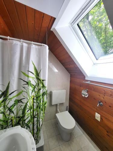 a bathroom with a toilet and a window and a plant at Hillside Cottage in Bled