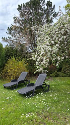 three chairs sitting in the grass in a field at Chill Out Carnikava in Carnikava