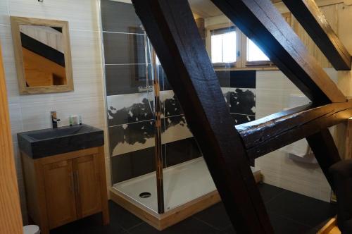 a bathroom with a shower and a sink at Maison d'hôtes La Barmaz in Combloux