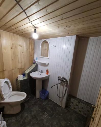 a bathroom with a toilet and a sink at Hotel Omalo2005 in Omalo
