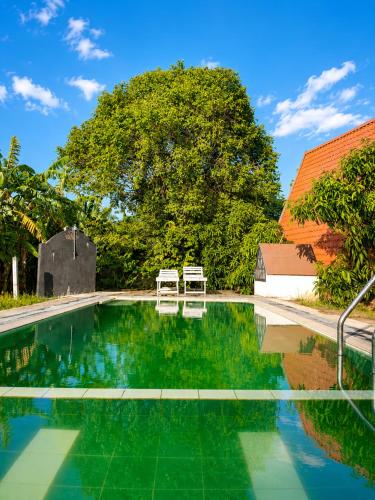 a swimming pool with two chairs and a tree at Pahana village Sigiriya in Sigiriya