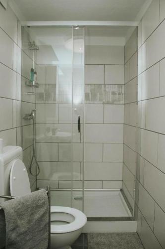 a bathroom with a toilet and a glass shower at Studio Pod hruško in Kobarid