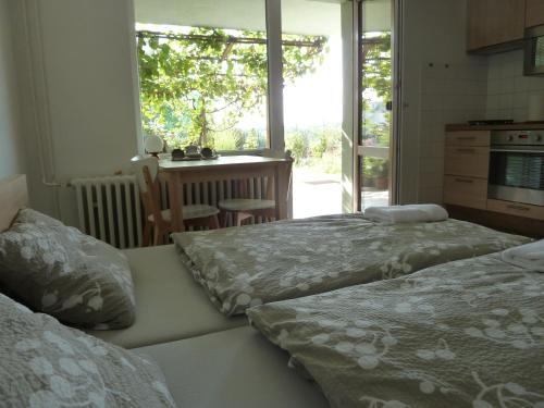 um quarto com 2 camas e uma cozinha com uma janela em Ubytování Vinohrady 73 em Znojmo