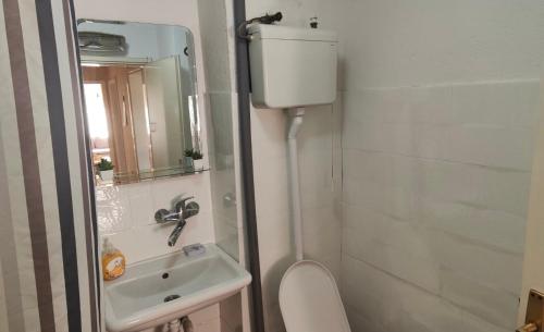 a bathroom with a sink and a toilet and a mirror at Cozy apartment in Bitola in Bitola