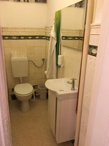 a small bathroom with a toilet and a sink at Hotel Pension Bella in Berlin
