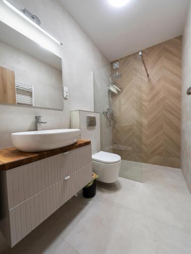 a bathroom with a sink and a toilet and a shower at „Amber” Pokoje z widokiem na morze in Krynica Morska