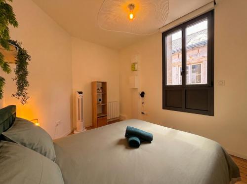 a bedroom with a bed with a blue object on it at T2 lumineux, hypercentre Angers in Angers