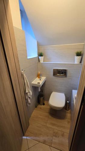 a small bathroom with a toilet and a sink at blatoapartament in Sopot