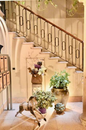 a group of potted plants sitting under a staircase at Palazzo Cavalli Pasquini in Verona