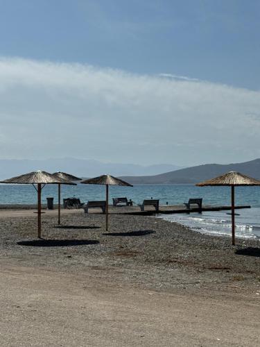 a group of umbrellas on a beach near the water at Aquamarine - Beach Flat in Itea