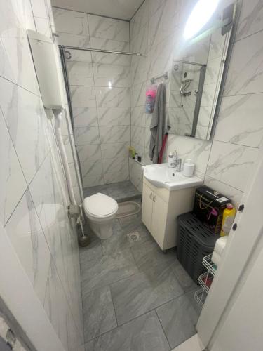 a bathroom with a toilet and a sink and a shower at Apartman Pejovic N in Smederevo